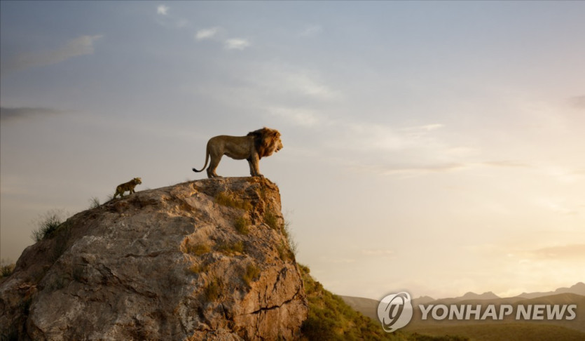 2019년 개봉한 디즈니 라이온 킹 [AP=연합뉴스, 디즈니 제공·재판매 및 DB 금지]